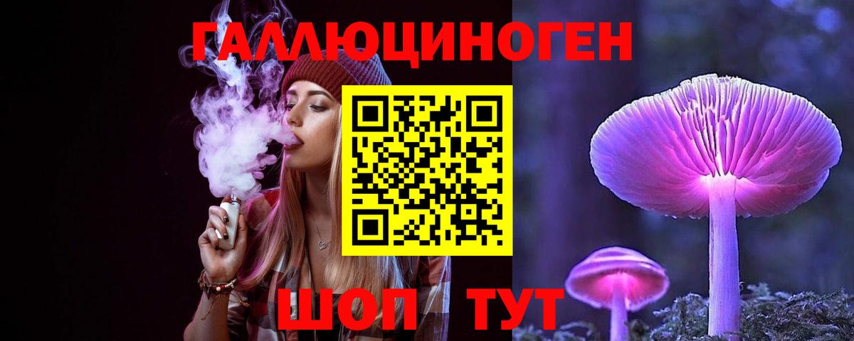 Галлюциногенные грибы Psilocybine cubensis Обь
